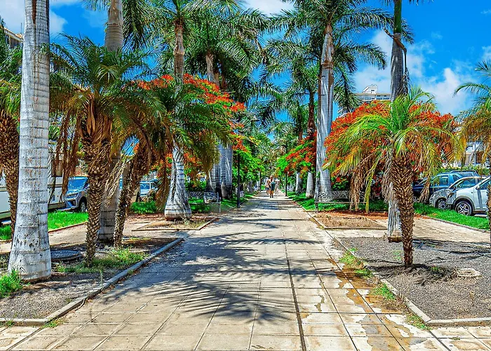 Tenerifeopenhome Comfortable Family *