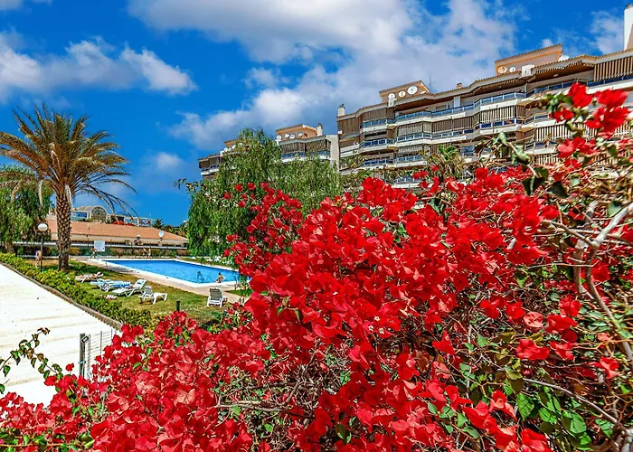 Tenerifeopenhome Comfortable Family Arona